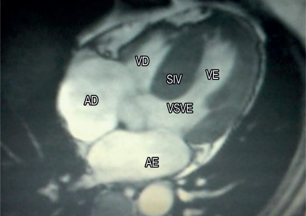 Figura 5