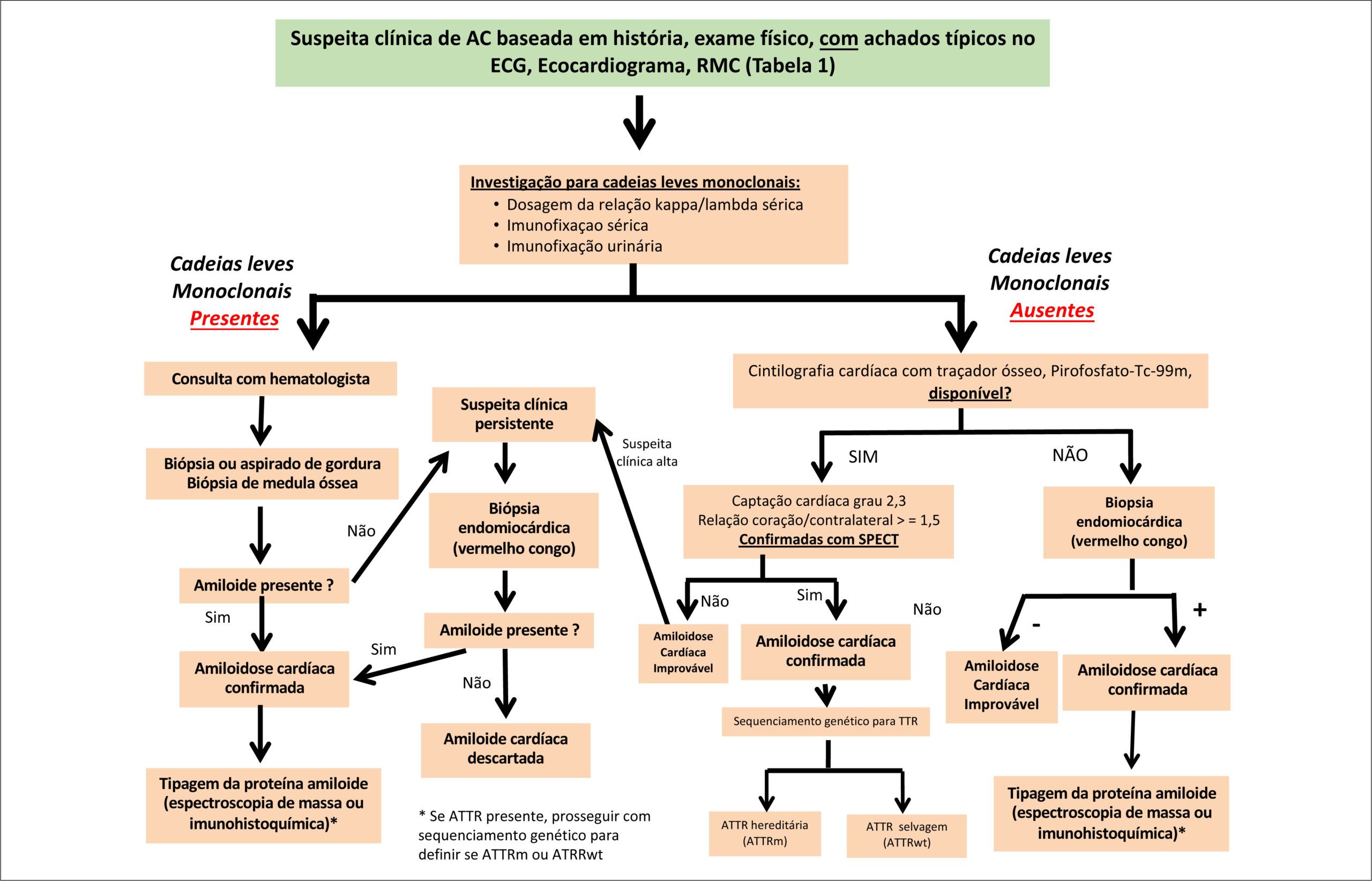 Figura 1