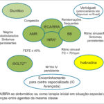 Figura 1