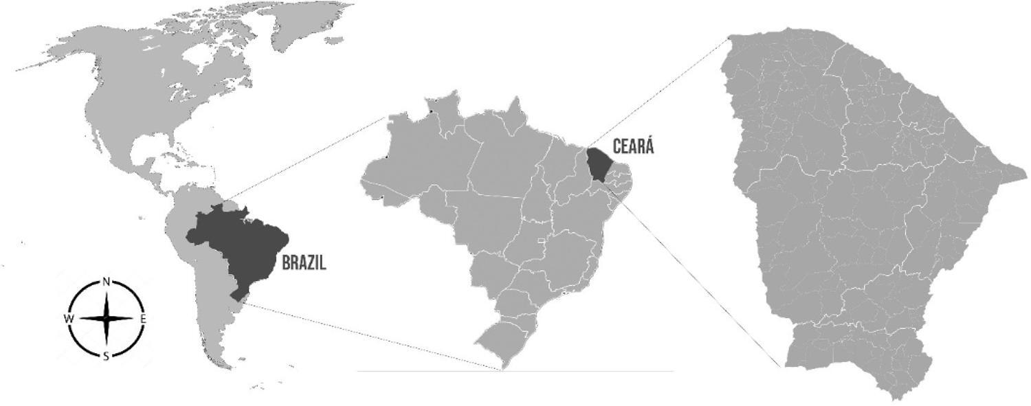 Figura 1