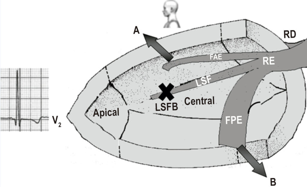 Figura 3