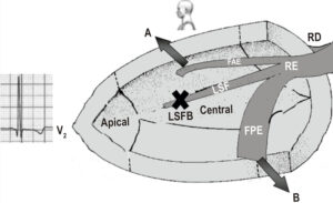 Figura 3
