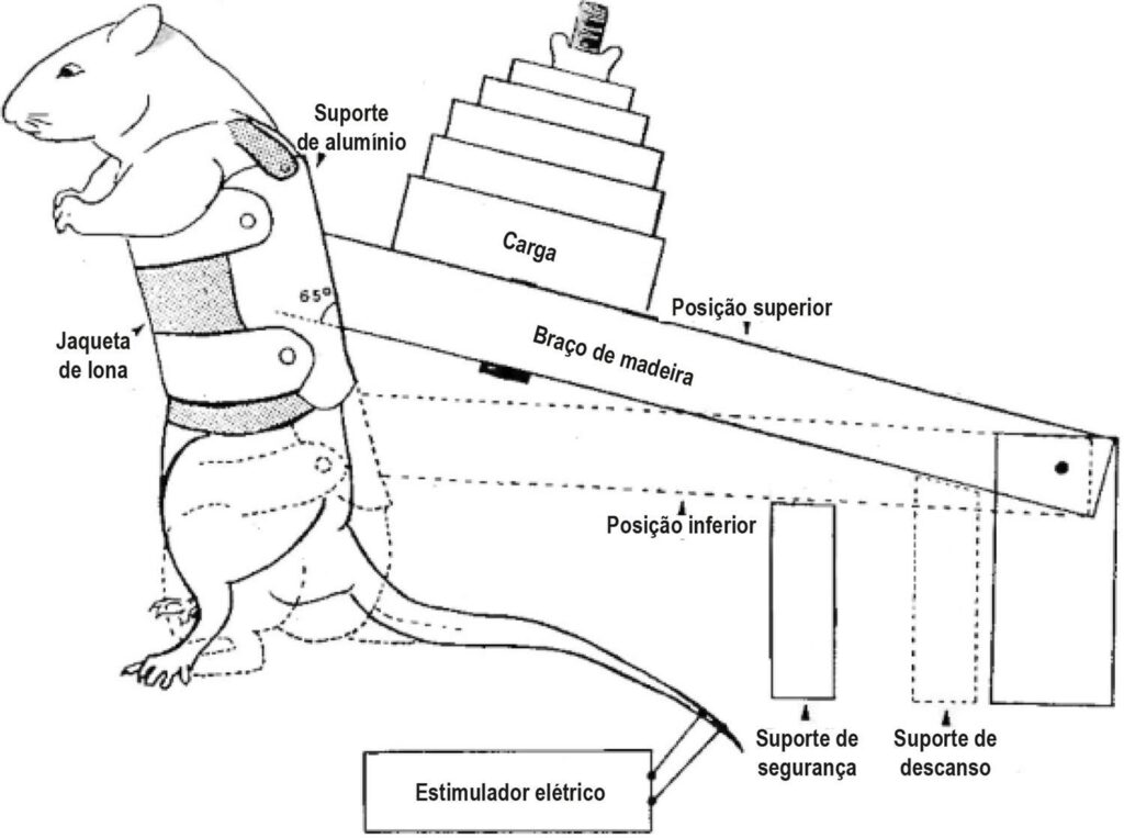 Figura 1