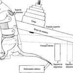 Figura 1