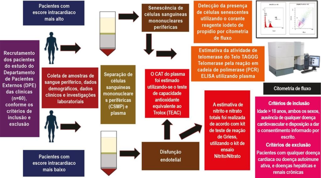 Figura 1