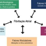 Figura 1