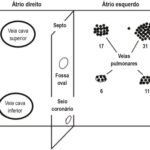 Figura 2