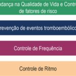 Figura 4