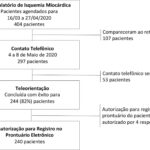 Figura 1