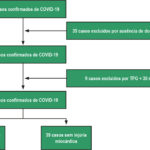 Figura 1