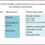 Figura 1