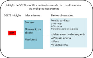 Figura 1