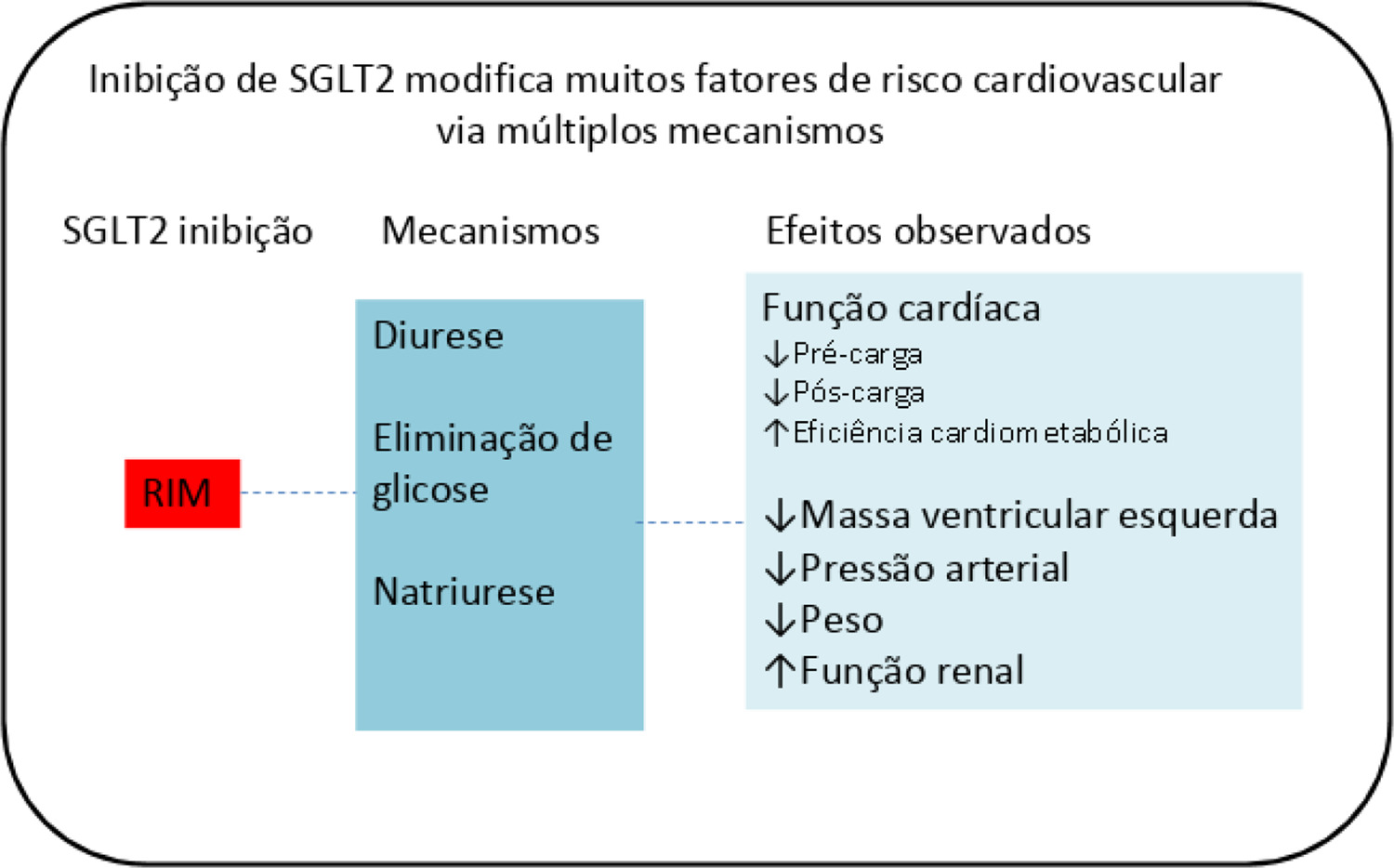 Figura 1