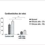 Figura 2
