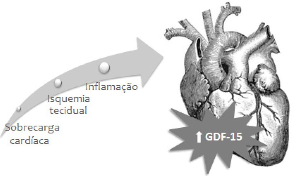 Figura 1
