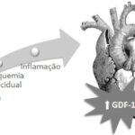 Figura 1