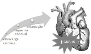 Figura 1