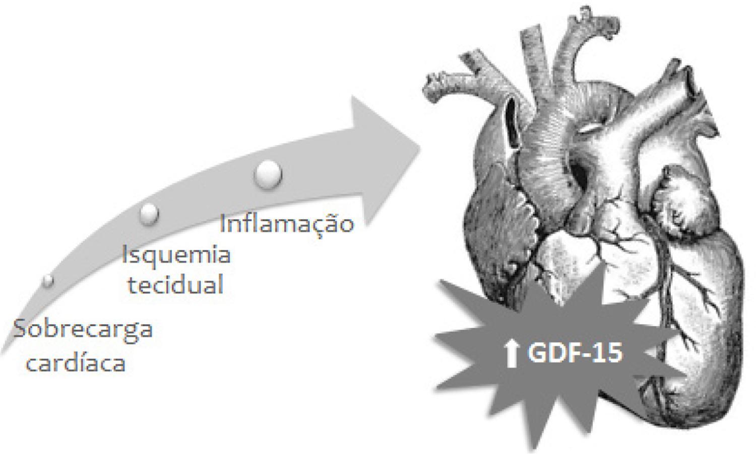 Figura 1