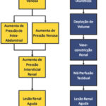 Figura 1