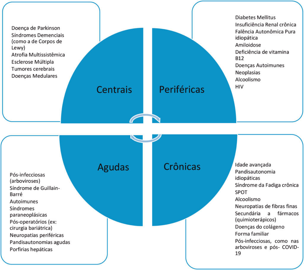 Figura 2