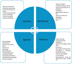 Figura 2