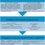 Figura 3