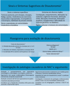 Figura 3