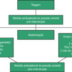 Figura 1