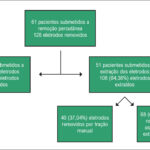 Figura 1