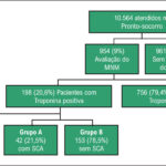 Figura 1