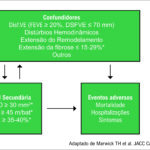 Figura 1