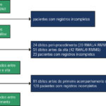 Figura 1