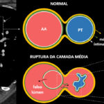 Figura 3