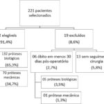 Figura 1