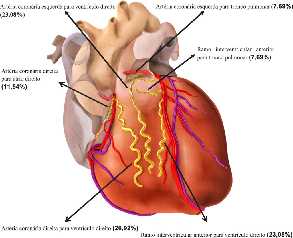 Figura 1