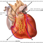 Figura 1