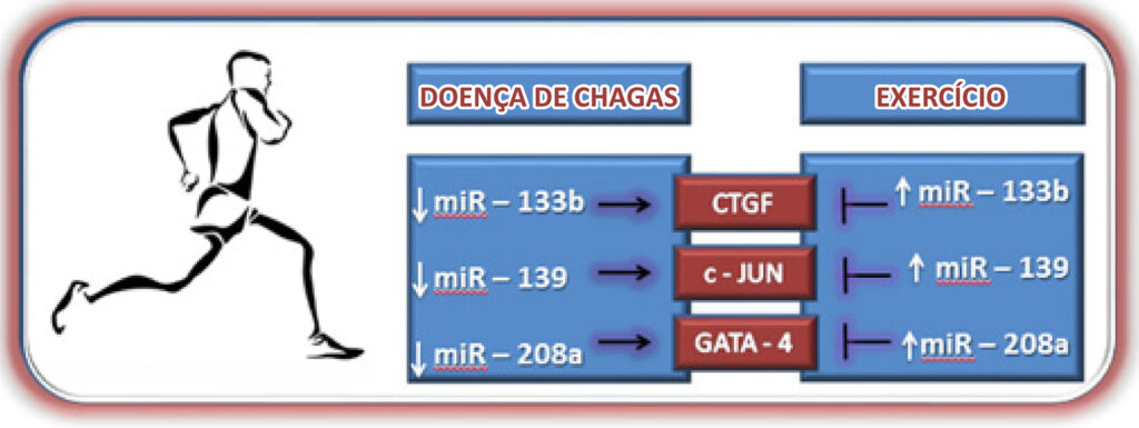 Figura 2