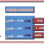 Figura 2