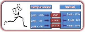 Figura 2