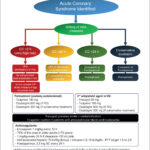 Figura 1.6