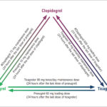 Figure 3.2
