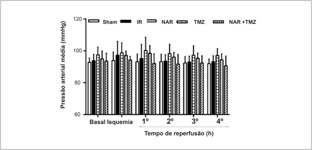 Figura 2