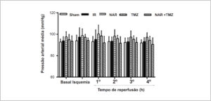 Figura 2