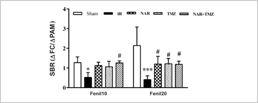 Figura 3