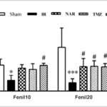 Figura 3