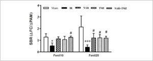 Figura 3