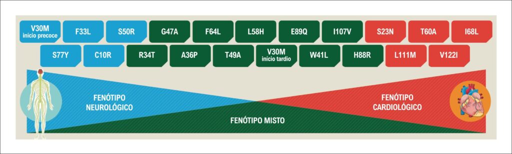 Figura 2