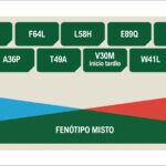Figura 2