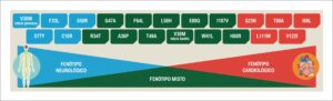 Figura 2