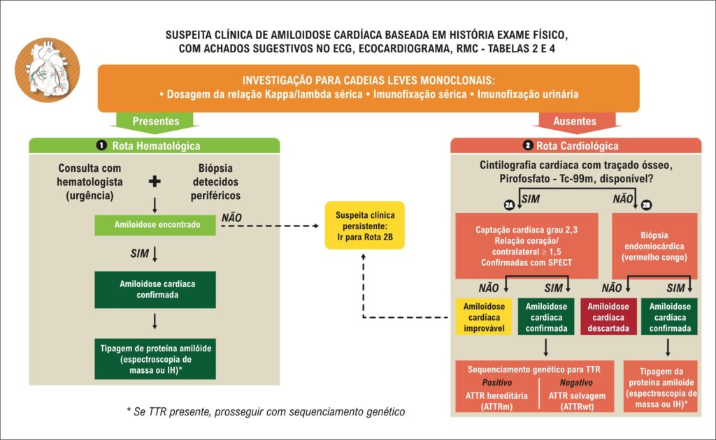 Figura 11